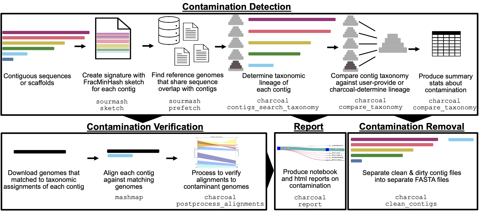 Figure 1: Summary of steps used to decontaminate genomes with charcoal. In the first stage of the pipeline, contamination detection occurs by comparing the taxonomic assignment of each contig in a genome against all other contigs. Contigs with inconsistent taxonomy are flagged as contaminants, by default if they differ at the order level or above. The results of this step are summarized to report the contaminating genomes, the number of contaminant contigs and base pairs at each level of taxonomy, and other metrics like the fraction of the genome that was identifiable and the fraction that was assignable to the majority lineage. The outputs of the first stage of the pipeline can then be used in any of three additional reporting steps. First, contamination can be verified by aligning the contaminant contigs against their identified matching reference genome, and the mappings can be visualized. Second, an html document can be produced that gives an overview of the contamination in each genome. Lastly, the contaminant contigs can be separated out from the non-contaminant contigs, writing two separate FASTA files per genome.