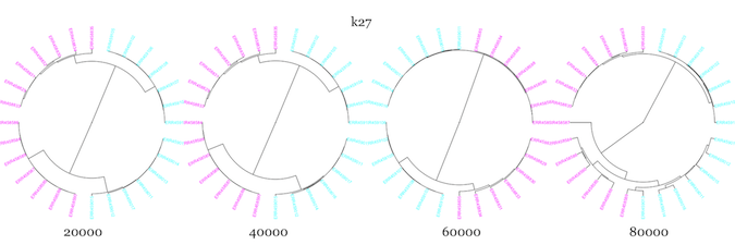 k = 27